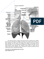 Anatomic and Physiologic Overview