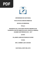 Incidencia de La Bacteria Proteus Mirabilis en El Hospital General Guasmo Sur Periodo 2016-2017