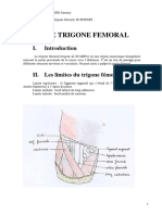 II Les Limites Du Trigone Femoral