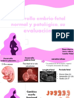 Desarrollo Fetal