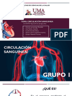 Circulación Sanguinea