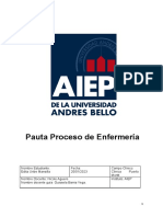 Pauta Proceso de Enfermería Aiep Aiep Aiep