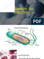 Bacterial Cell - 220220 - 072643