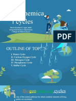 Biogeochemical Cycles