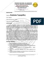 Anatomia Topografica