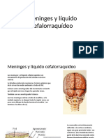 03 Meninges y Liquido Cefaloraquideo