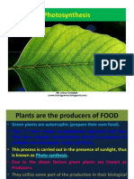 Chapter 6. Photosynthesis