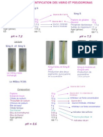 LES MILIEUX Vibrio Pseudo - ppt22