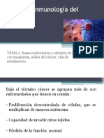 Tema 3. Bases Mol y Cel de La Carcinogénesis