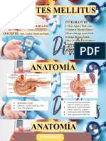 Diabetes Millitus