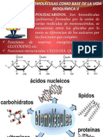 2 Biomoléculas Como Base de La Vida - Bioquímica Ii