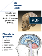 1 - Ostéologie de La Tête Osseuse (Partie Crânial)