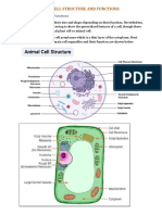 1.1.9 The Cell Structure and Functions