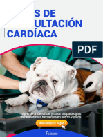 Zonas de Auscultacion Cardiaca