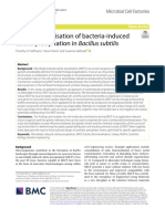 Genetic Optimisation of Bacteria-Induced Calcite Precipitation in Bacillus Subtilis