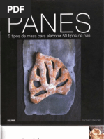 Panes - 5 Tipos de Masa para Elaborar 50 Tipos de Pan (Richard Bertinet)