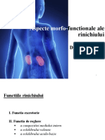 Primele 7 Cursuri