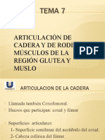 TEMA 5 ARTICULACIÓN DE LA CADERA - Copia-1