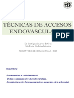 Accesos Endovasculares