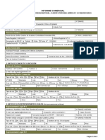 2-Informe Comercial FOGAPI F