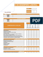 Copia de PAUTA EVALUACION