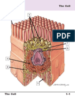 The Cell