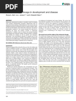 The Melanocyte Lineage in Development and Disease