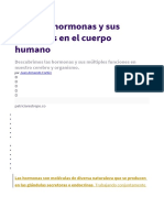 Tipos de Hormonas y Sus Funciones en El Cuerpo Humano