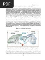 Bacterias y Cyanophyceae