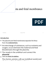 The PLACENTA For Medical Stu