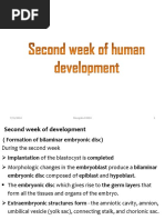 Second Week of Human Development For Medical Student