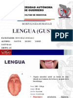 LENGUA