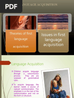 First Language Acquisition Theories