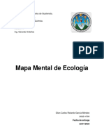 Mapa Mental - 202211593