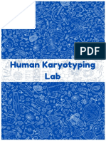 Human Karyotyping