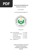 Makalah Geomorfologi