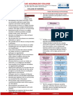 Micro para Notes