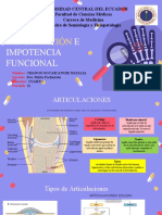 Deformacion Articular Chango Angie