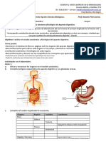 Práctico #12 Aparato Digestivo CL