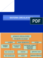 Sistema Circulatorio