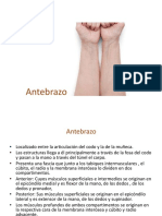 06 Antebrazo