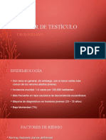 15.1. Cáncer de Testículo