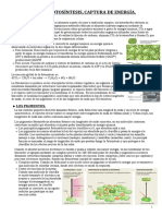 Biología - Química UNED, Tema7