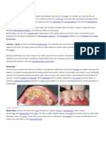 Dental Plaque