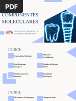 Componentes Moleculares