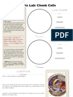 4 - Cheek and Onion Cell Lab