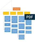 Mapa Principios Básicos de La Bioética