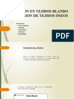 Lesion en Tejidos Blando y Lesión de Tejidos Óseos