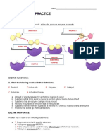 Enzyme Basics Practice KEY 2hg9sph