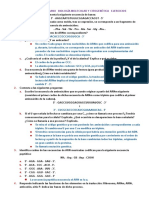 Ejercicios de Ácidos Nucleicos y Enzimas Iii